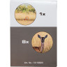 Бинокль BRESSER Travel 8x21