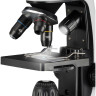 Микроскоп BRESSER Junior Biolux 40–2000x
