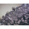 Микроскоп стереоскопический BRESSER Erudit ICD 20x/40x